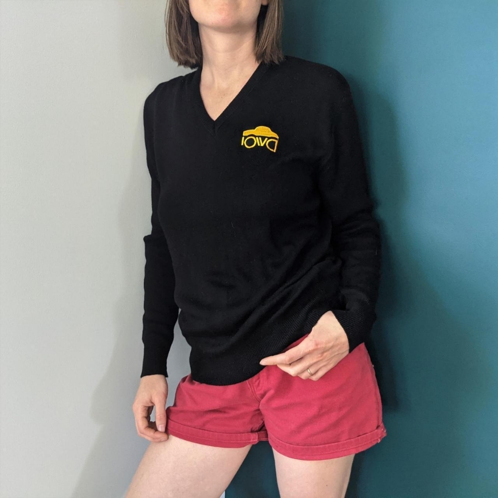 RARE Vintage ~60s University of Iowa Hawkeyes McBriar V-neck Sweater